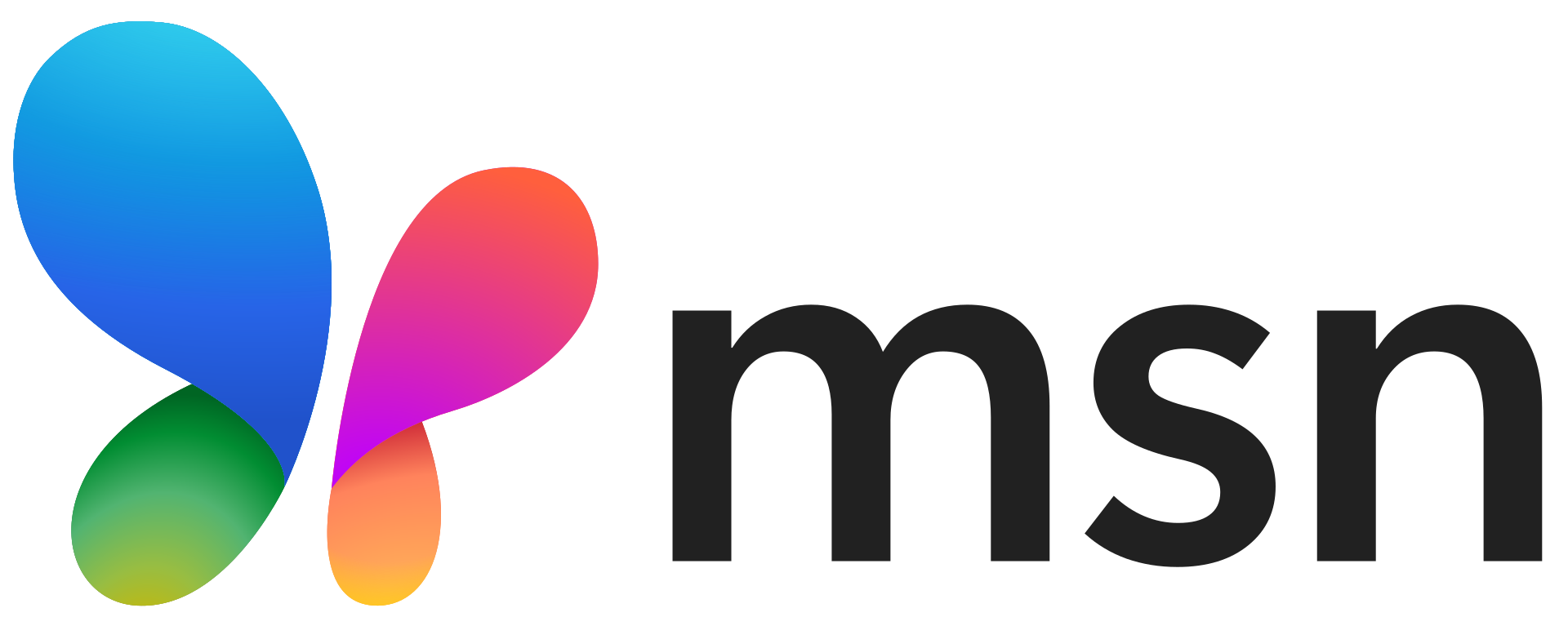 MSN logo